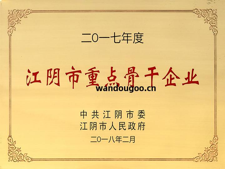 Key backbone enterprises in Jiangyin City